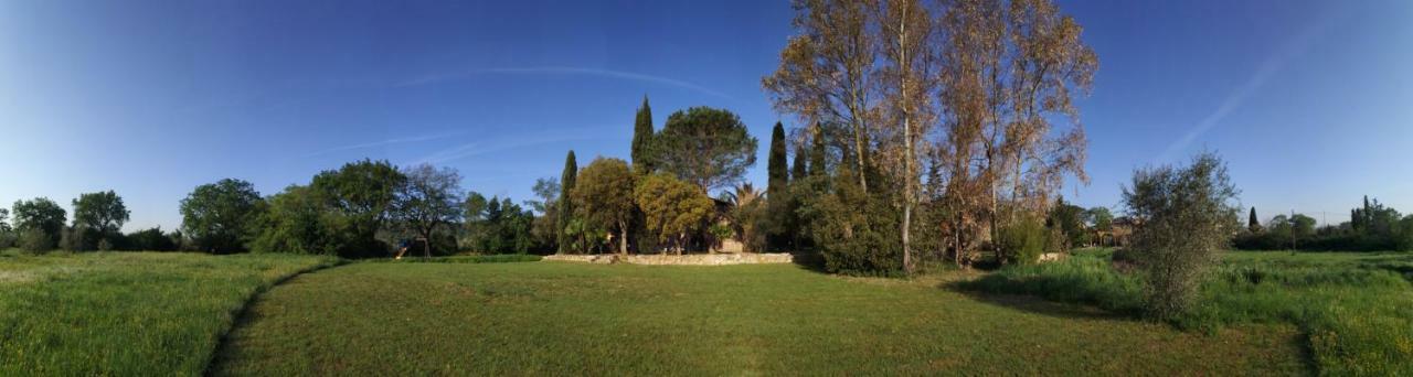 Podere La Fornace Ravi Buitenkant foto